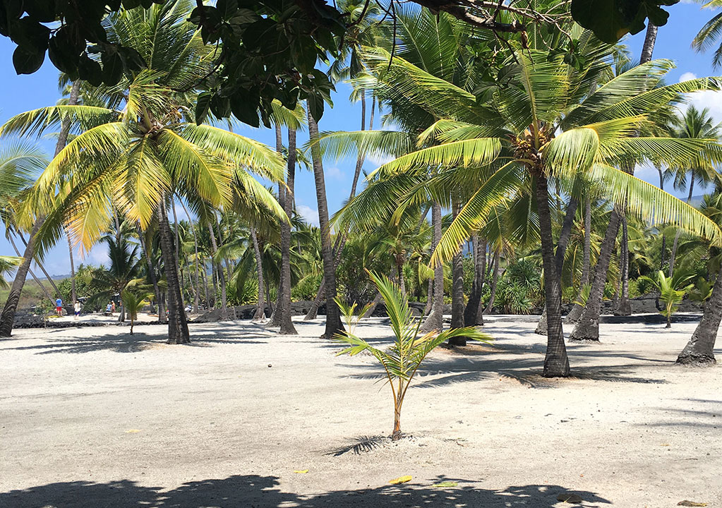 hawaii-park
