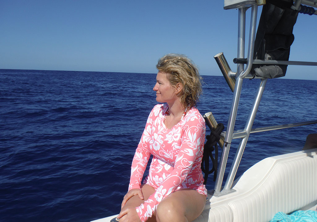 dlphins-hawaii-retreat