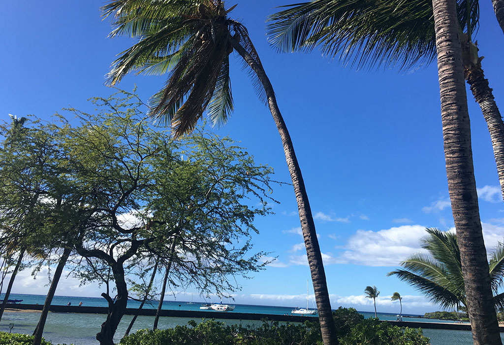 hawaii18-18
