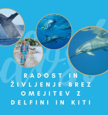 Radost in življenje brez omejitev z delfini in kiti