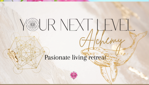 Retreat - Next level alchemy