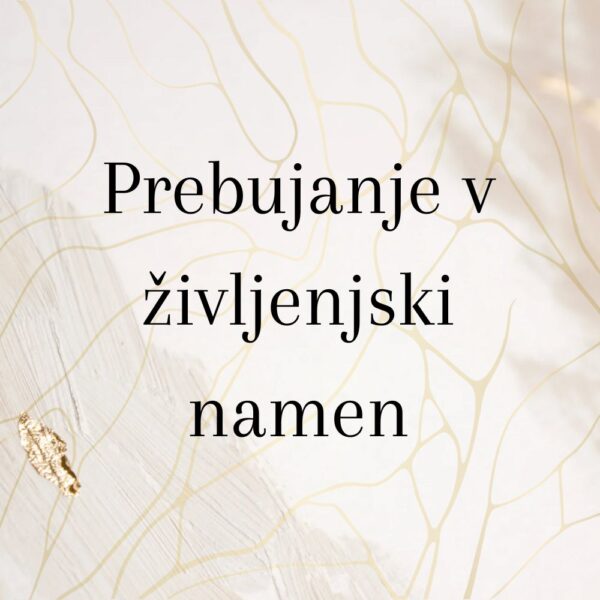 Prebujanje v svoj življenjski namen