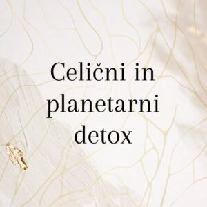 Celični in planetarni detox