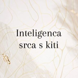 Inteligenca srca s kiti