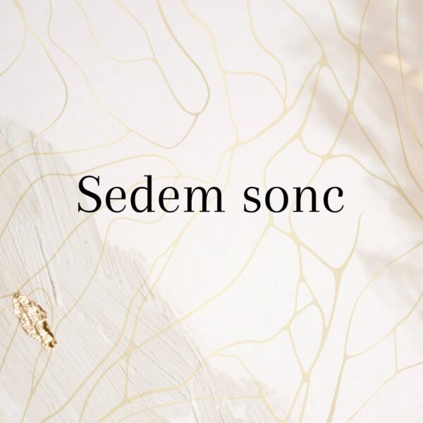 Meditacija sedmih sonc