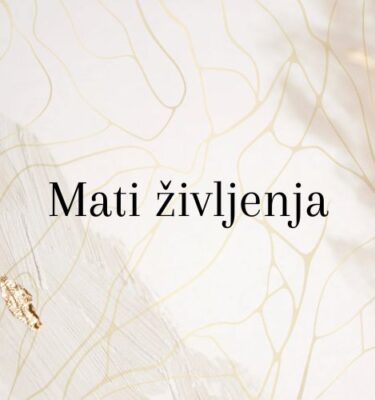 Vizualizacija Mati življenja