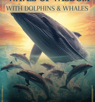 Valovi modrosti z delfini in kiti - orakeljske karte